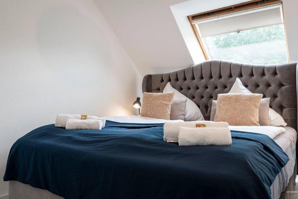 Winedesign 6 Per Wlan Boxspring Apartment Erfurt